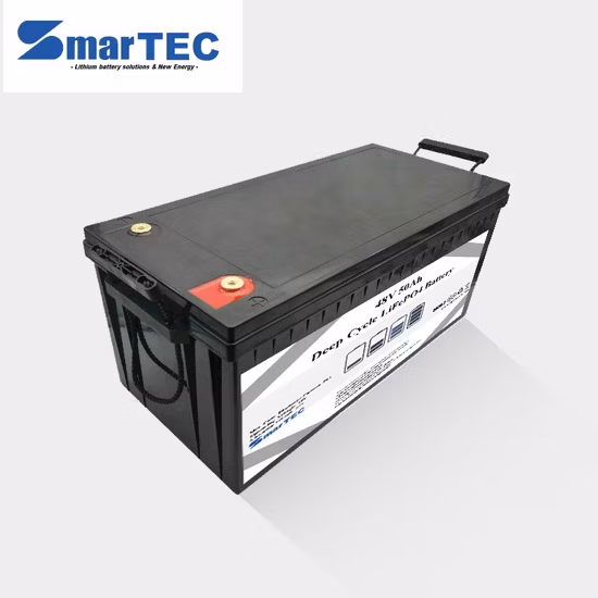 Pacote de bateria de íon de lítio Panasonic 48V 13s para bicicleta elétrica de dois assentos